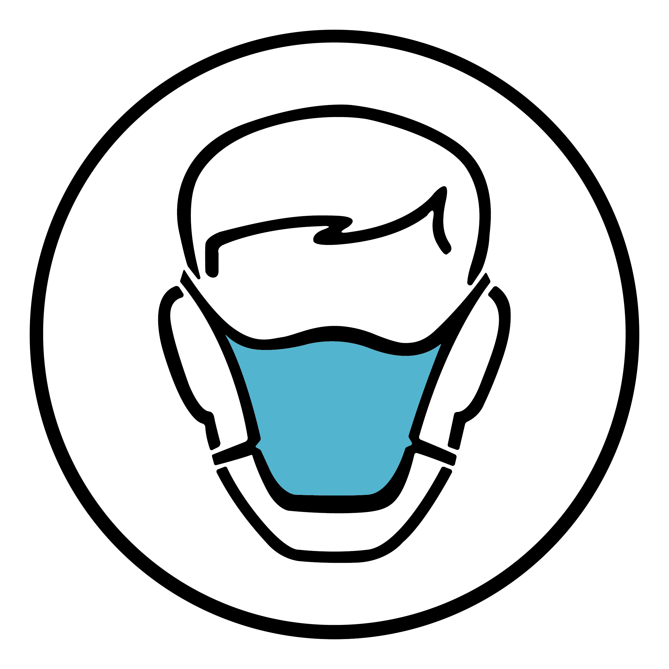 The Face Mask Store logo